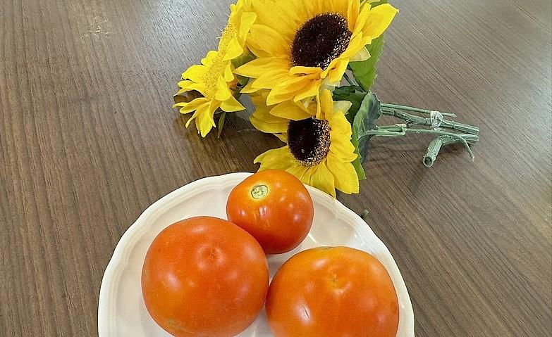 甘い冷やしトマトをどうぞ！