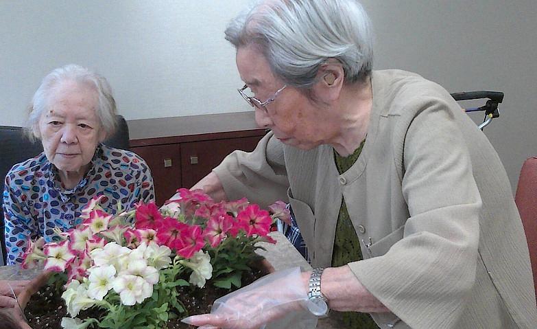 秋の花を楽しんで