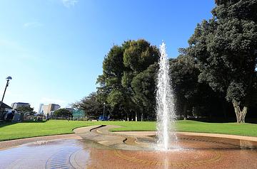 目白台運動公園