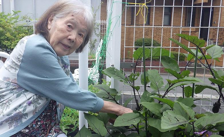 収穫の楽しみが続く菜園