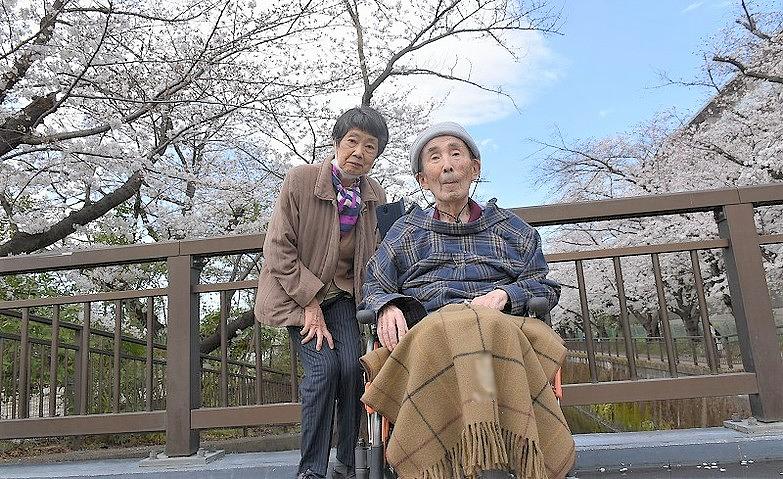 団子に勝る、圧巻の桜			