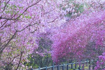 広田山公園