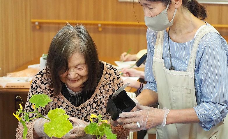夏の園芸～きゅうりを植える～