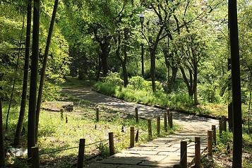 岡本公園