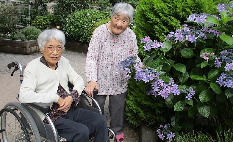 アジサイと一緒に