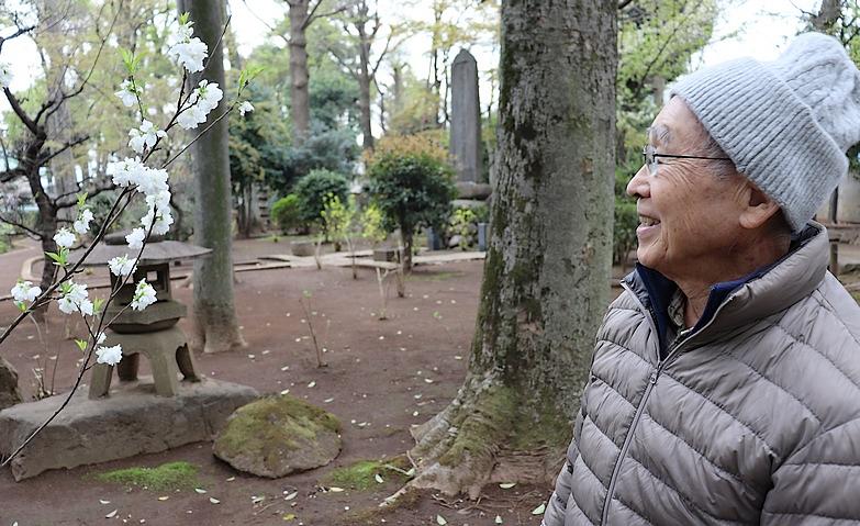 お花見散歩