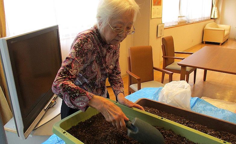 ニンジンの種を植えました！