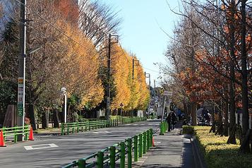 東京都市大学周辺