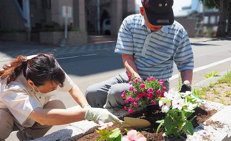 ミニ大通りの花壇に花を植えました