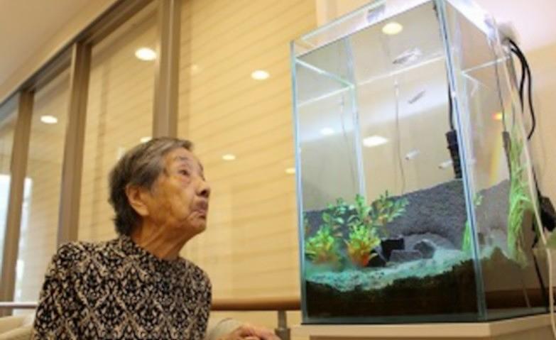 熱帯魚を見つめながら…