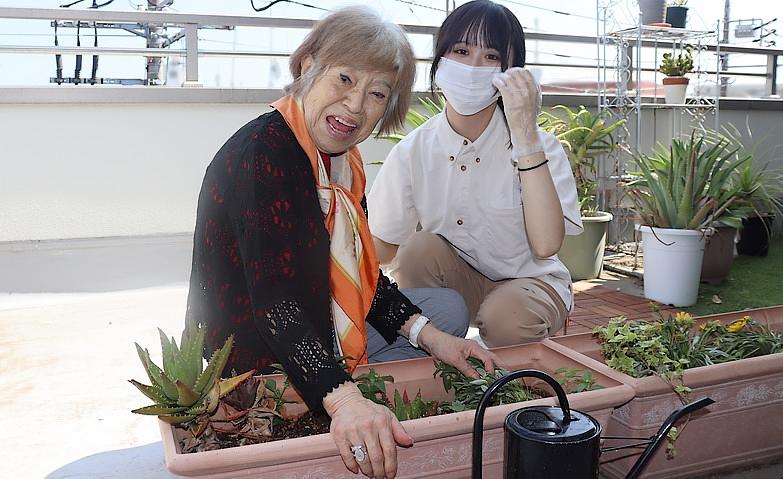 屋上の植木のお手入れを