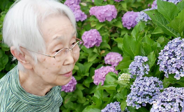 季節のお花をたのしみに			