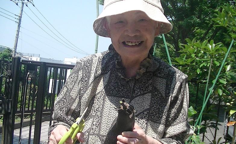 「深沢菜園」で収穫を