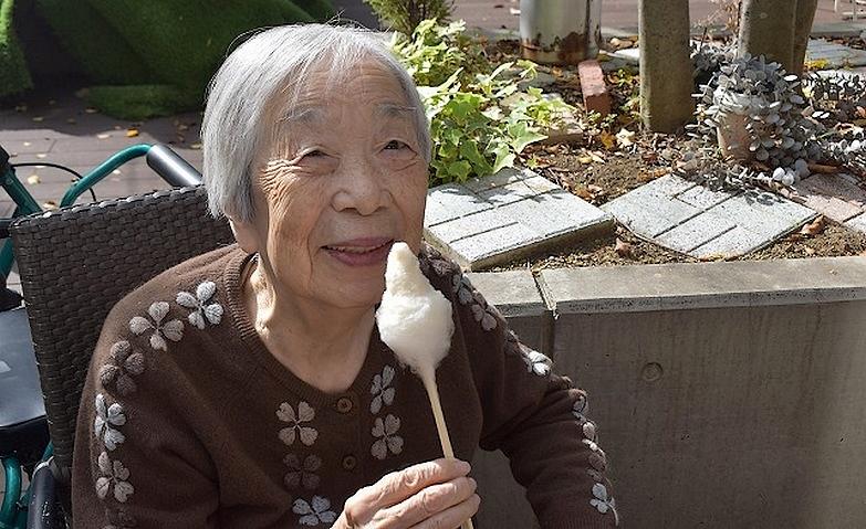 日なたぼっこと綿菓子