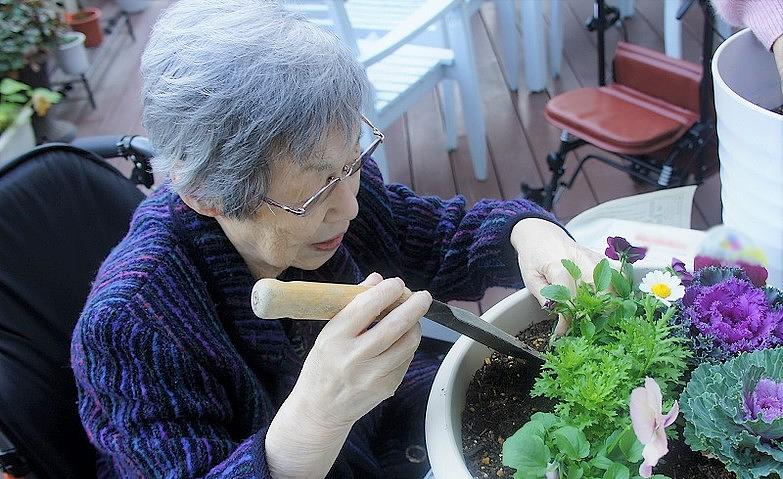 秋冬のお花の寄せ植え