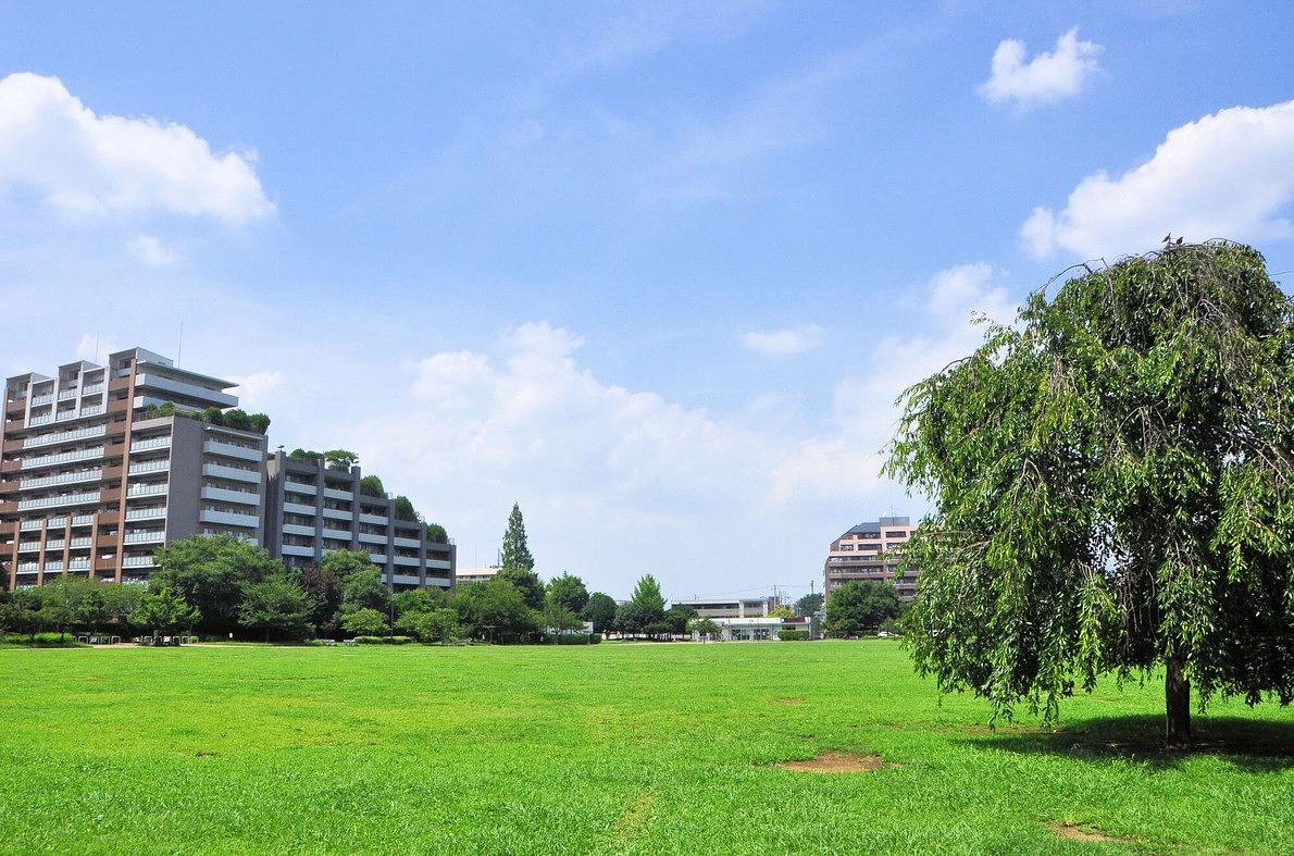 桃井原っぱ公園