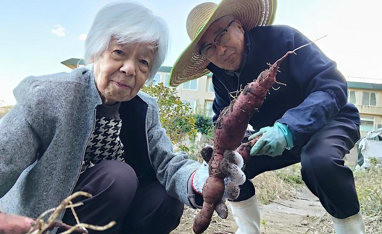 秋の恵み！サツマイモ収穫