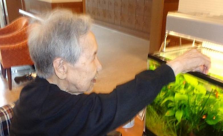 「くららの時間」のご紹介～アクアリウム～