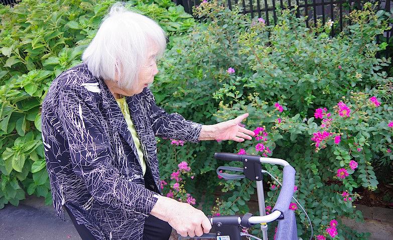 ホーム周辺をお散歩