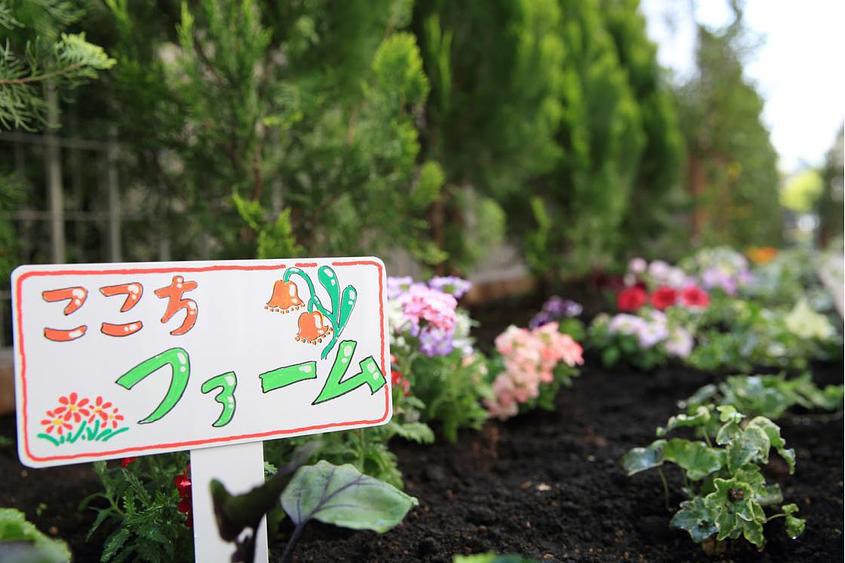 ウッドデッキの菜園「ここちファーム」
