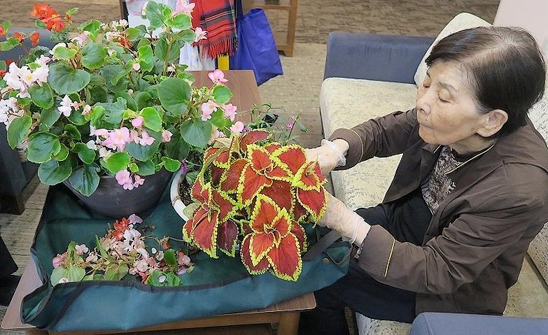 花とともに過ごす園芸の時間