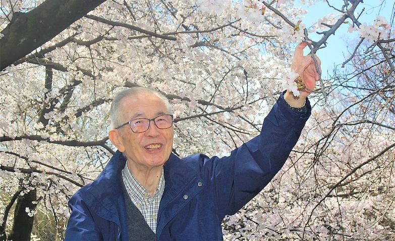 お花見に行きましょう