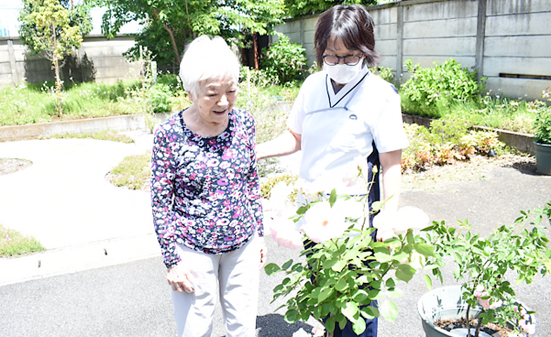 お庭で植物鑑賞