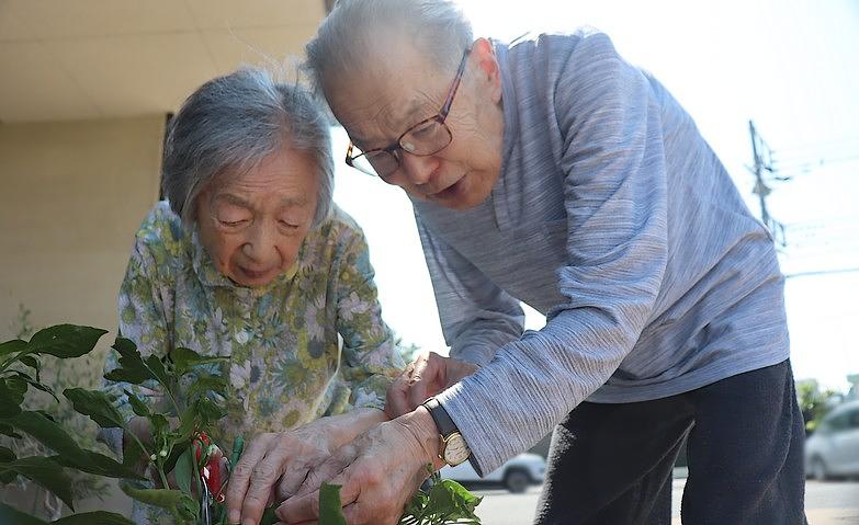 ご夫婦の日課を今日も			