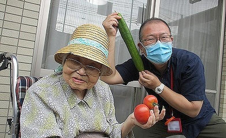 夏野菜、ついに収穫！