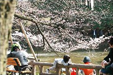 都立井の頭恩賜公園