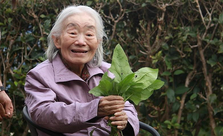 まだまだ続く！畑の収穫！