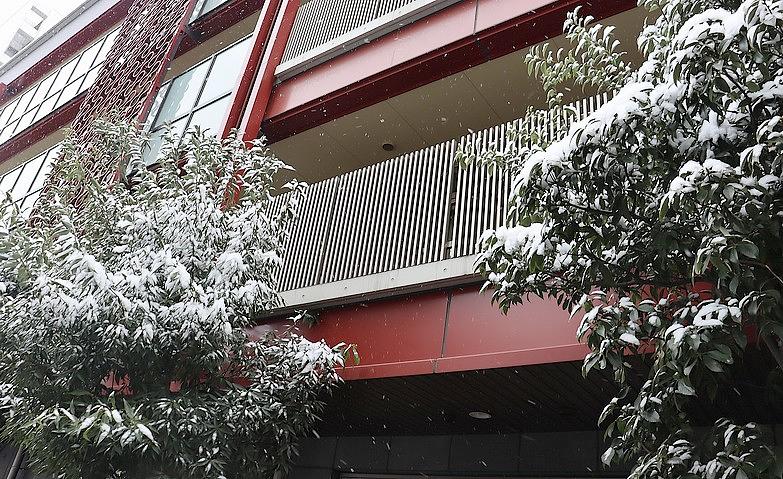 東京の雪景色