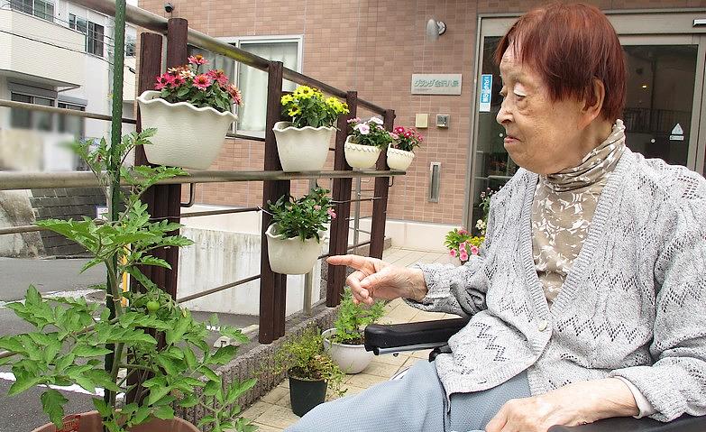 大きく育つ日を楽しみに！トマトの苗植え