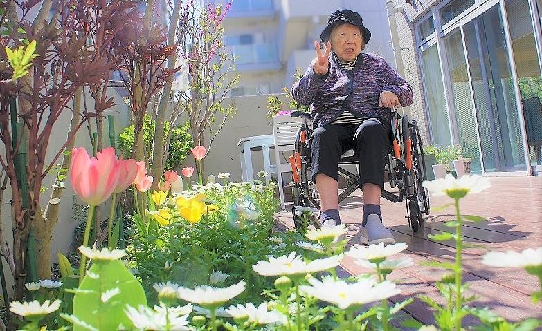 朝のお散歩コース