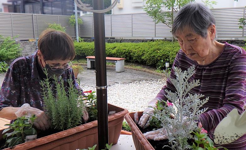 園芸サークル～お花の植え替え～