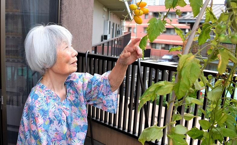 収穫まであと少し！