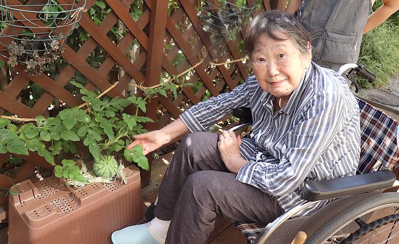 ウッドデッキテラスに実りの夏がやってきます