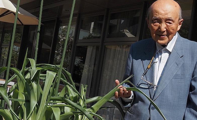 今年はトウモロコシにしました