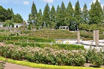 荒牧バラ公園