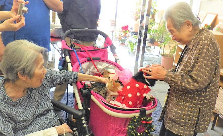 動物とのふれあいデー～笑顔になりました～			