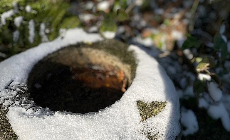 初雪