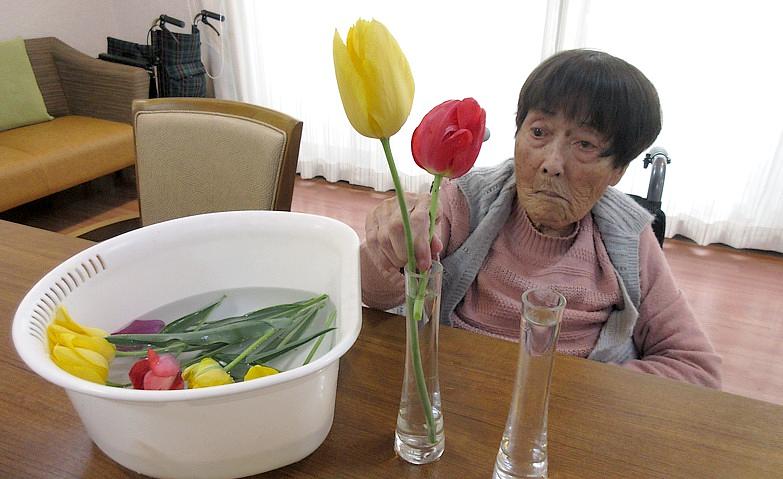 チューリップが咲いた