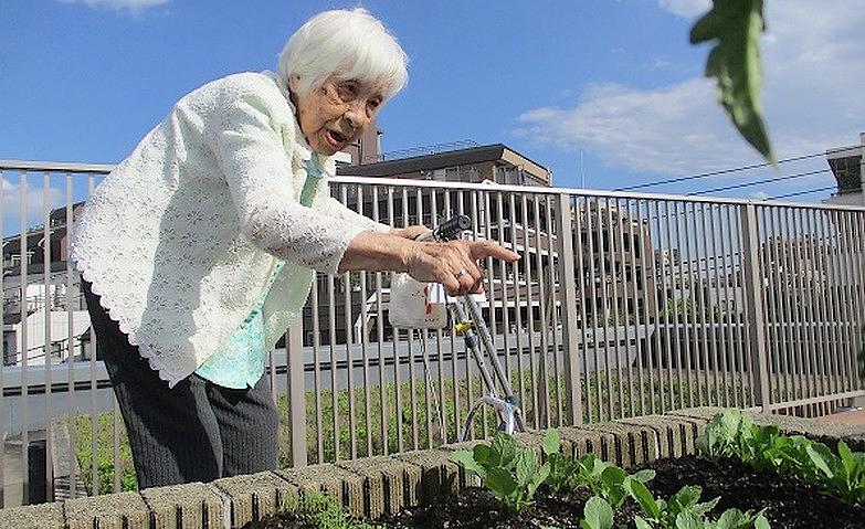 お野菜を見～つけた！