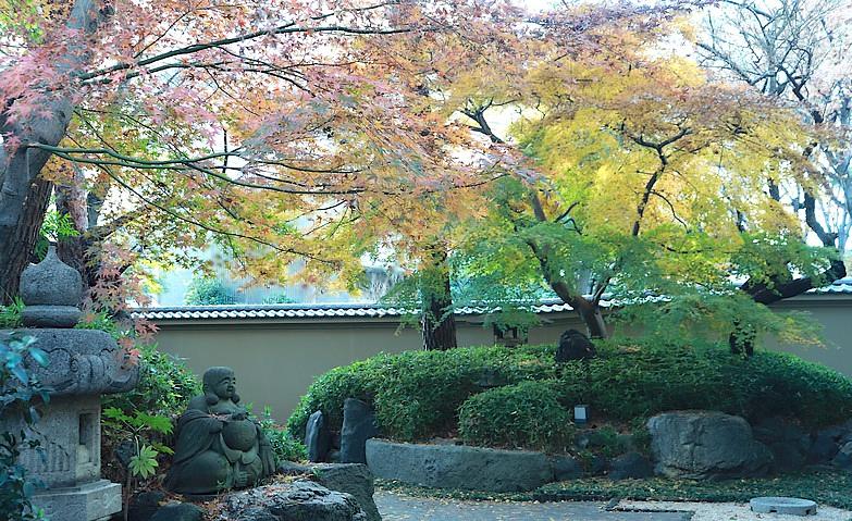 師走を迎え中庭が色づきました