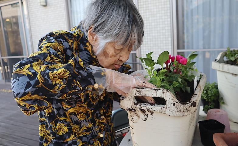 花苗植え替えで季節を感じて