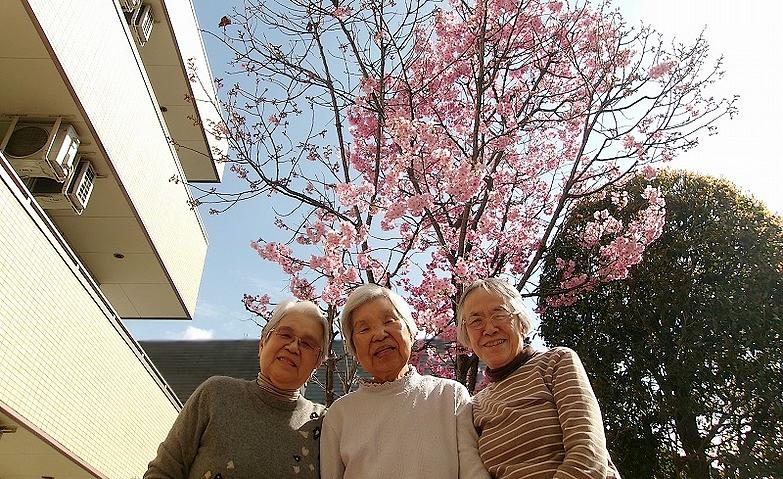 桜満開で笑顔も満開