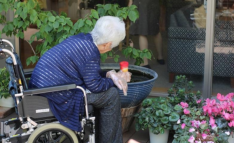 ささいだけど楽しみな日課