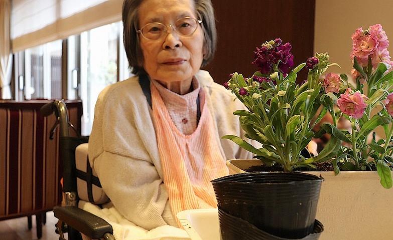 園芸クラブ～ストックの寄せ植え～