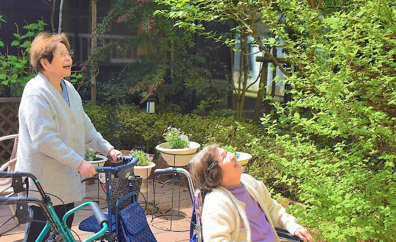 お花見日和～花咲き誇る庭で～