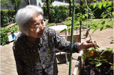 中庭の野菜たちの成長②画像2